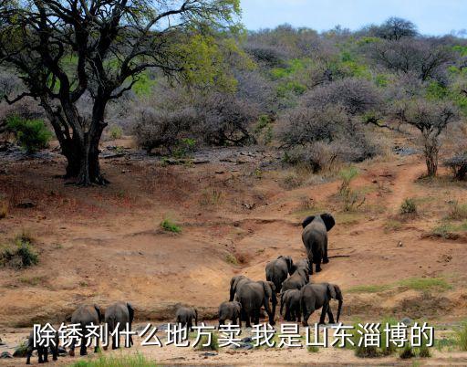 淄博斯柯达明锐拆车件，除锈剂什么地方卖 我是山东淄博的