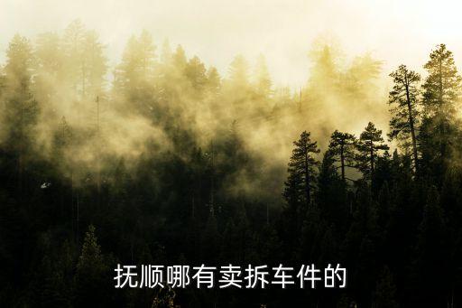 抚顺哪有卖拆车件的