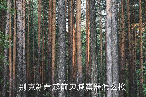 君越避震拆车件，别克新君越前边减震器怎么换