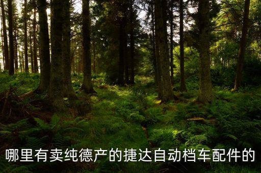 哪里有卖纯德产的捷达自动档车配件的