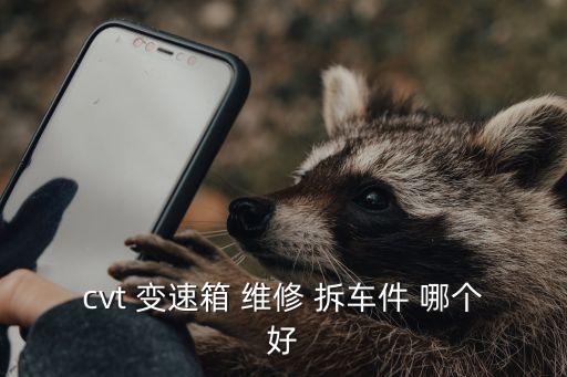 cvt 变速箱 维修 拆车件 哪个好