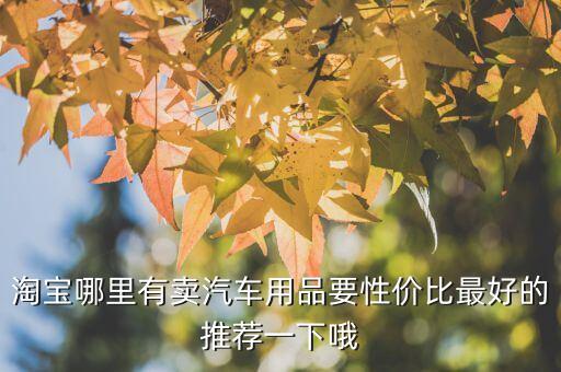 淘宝哪里有卖汽车用品要性价比最好的推荐一下哦