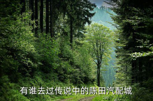 有谁去过传说中的陈田汽配城