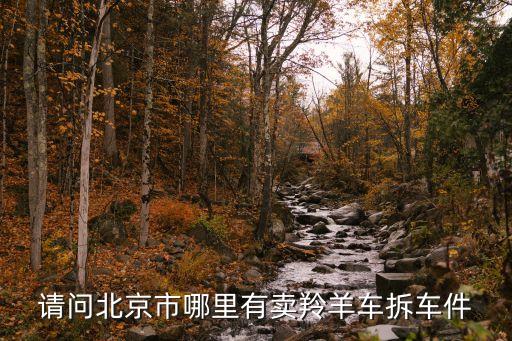 请问北京市哪里有卖羚羊车拆车件