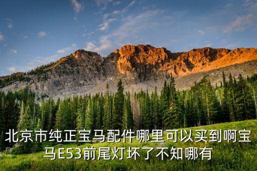 北京市纯正宝马配件哪里可以买到啊宝马E53前尾灯坏了不知哪有