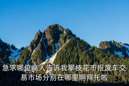 急求哪位高人告诉我攀枝花市报废车交易市场分别在哪里啊拜托啦