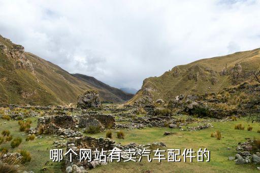 哪个网站有卖汽车配件的
