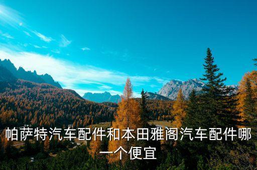 帕萨特汽车配件和本田雅阁汽车配件哪一个便宜
