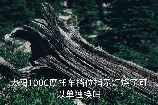 大阳100C摩托车挡位指示灯烧了可以单独换吗