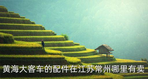 黄海汽车配件有限公司，辽宁石油化工大学汽车检测与维修专业好不好