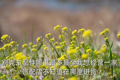 别克车配件哪里最多最全我想经营一家汽配店不知道在哪里进货