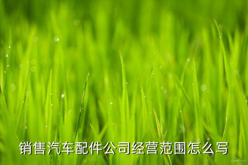 汽车配件贸易有限公司，汽车配件哪家作最好