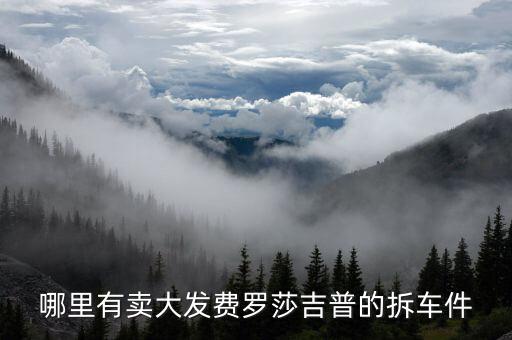 哪里有卖大发费罗莎吉普的拆车件