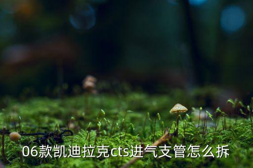 06款凯迪拉克cts进气支管怎么拆