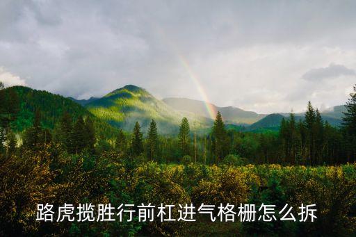 路虎揽胜行前杠进气格栅怎么拆
