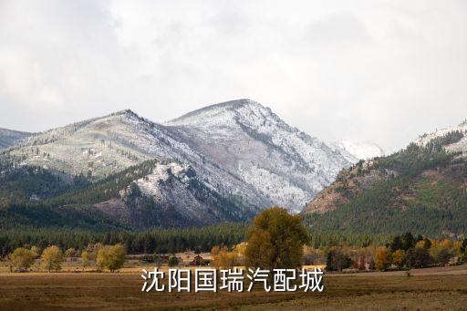 沈阳汽配城电话拆车件，沈阳国瑞汽配城