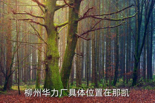 柳州华力厂具体位置在那凯