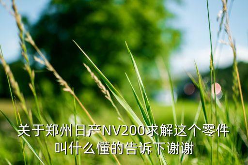 关于郑州日产NV200求解这个零件叫什么懂的告诉下谢谢
