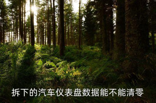 拆下的汽车仪表盘数据能不能清零