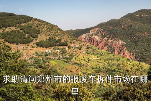 求助请问郑州市的报废车拆件市场在哪里