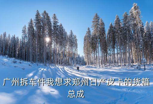 广州拆车件我想求郑州日产皮卡的货箱总成