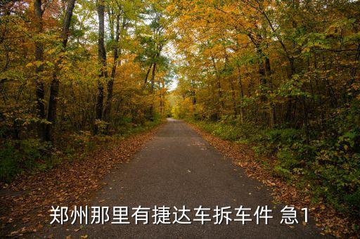 郑州那里有捷达车拆车件 急1