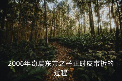 2006年奇瑞东方之子正时皮带拆的过程