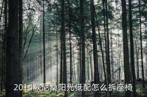 2014款尼桑阳光低配怎么拆座椅