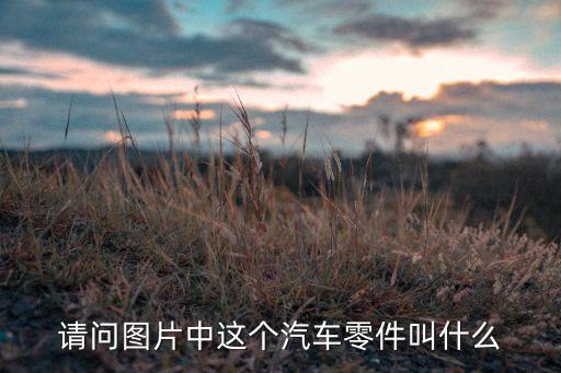 请问图片中这个汽车零件叫什么