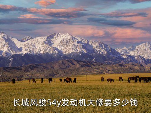 长城风骏54y发动机大修要多少钱