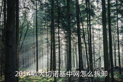 2014款大切诺基中网怎么拆卸
