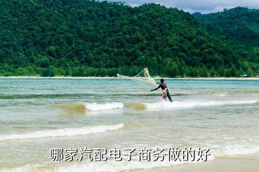 哪家汽配电子商务做的好