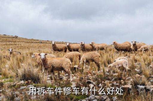 用拆车件修车有什么好处