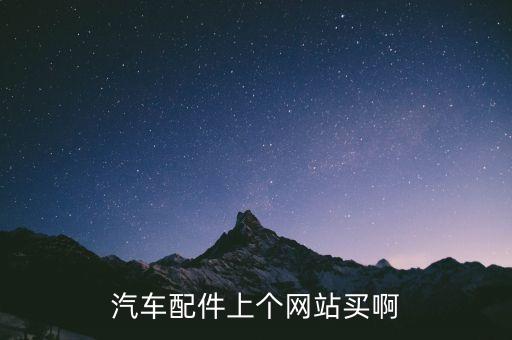 汽车配件上个网站买啊