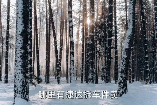 哪里有捷达拆车件卖