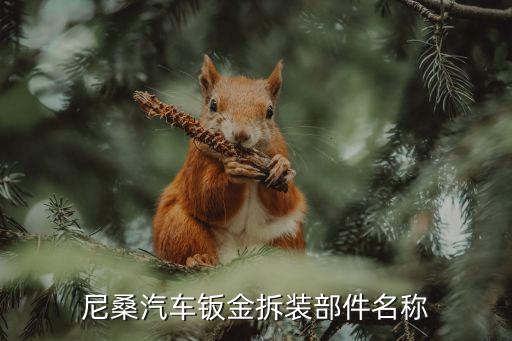 尼桑汽车配件大全，尼桑汽车钣金拆装部件名称