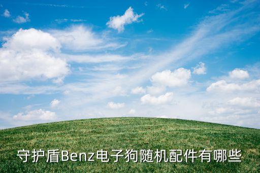 奔驰小精灵汽车配件，守护盾Benz电子狗随机配件有哪些