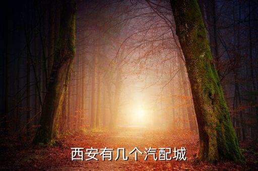 西安有几个汽配城