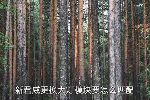 新君威更换大灯模块要怎么匹配
