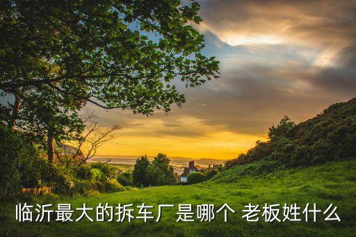 临沂最大的拆车厂是哪个 老板姓什么