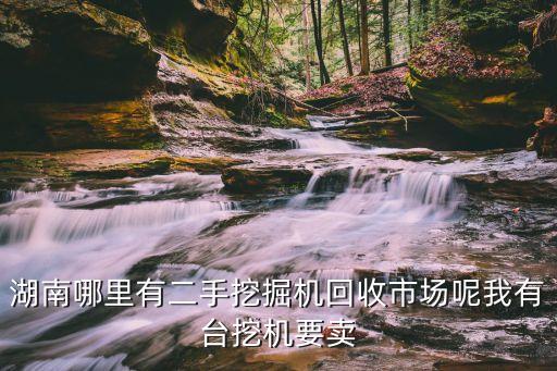 二手挖机拆车件郴州，哪里有拆旧挖掘机的