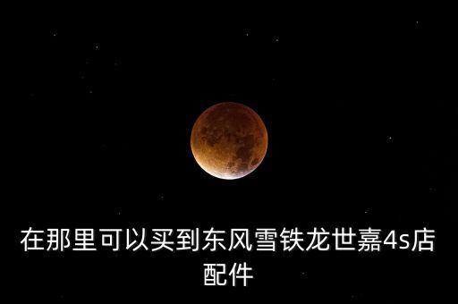 在那里可以买到东风雪铁龙世嘉4s店配件