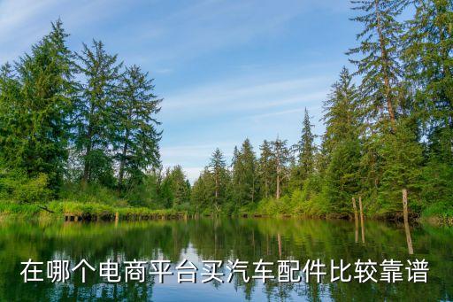 在哪个电商平台买汽车配件比较靠谱