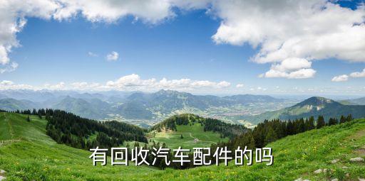 有回收汽车配件的吗