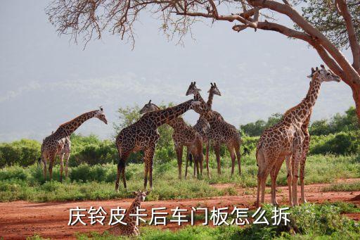 庆铃皮卡后车门板怎么拆