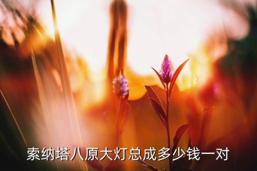 索纳塔八原大灯总成多少钱一对
