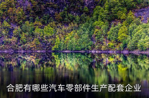 合肥有哪些汽车零部件生产配套企业