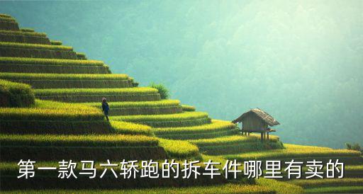 第一款马六轿跑的拆车件哪里有卖的