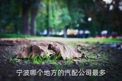 宁波哪个地方的汽配公司最多