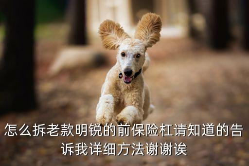 怎么拆老款明锐的前保险杠请知道的告诉我详细方法谢谢诶